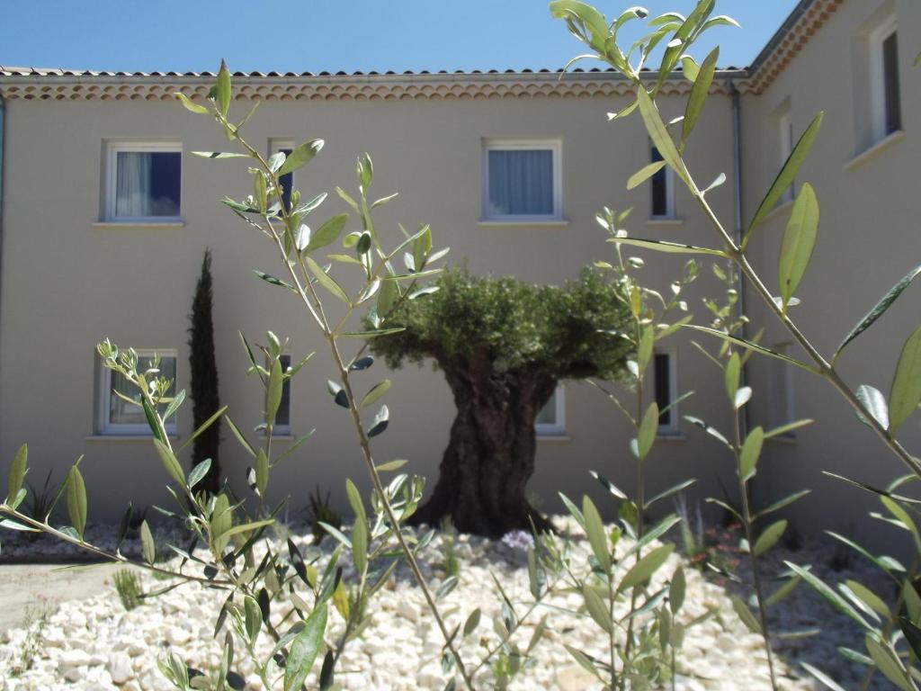 Le Domaine Des Oliviers Hotel Pierrelatte Kültér fotó